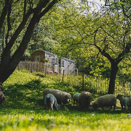 Somerset Shepherds Huts Winsham Εξωτερικό φωτογραφία