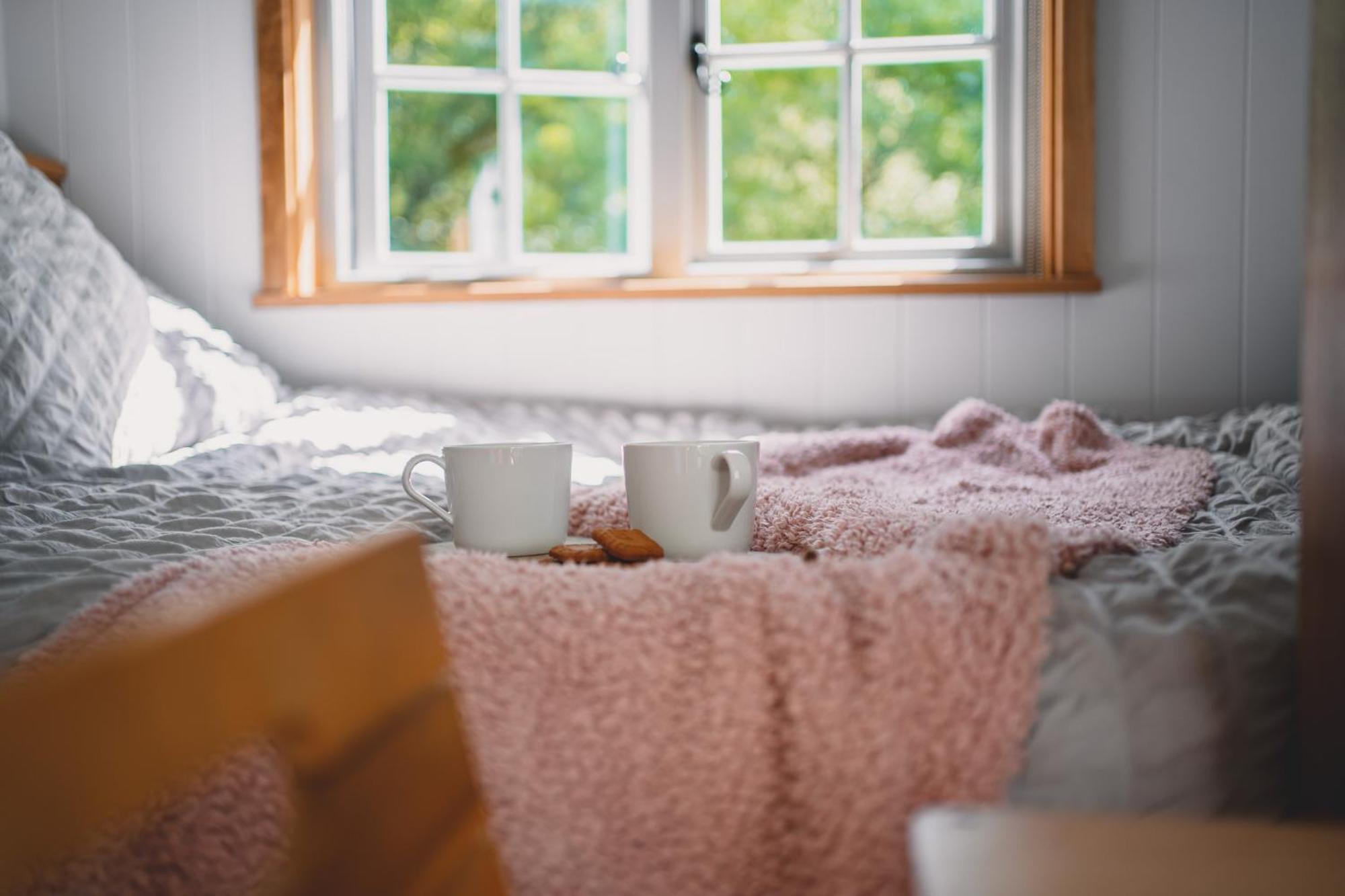 Somerset Shepherds Huts Winsham Εξωτερικό φωτογραφία